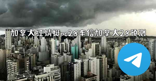 加拿大红蜻蜓pc28车信加拿大28预测