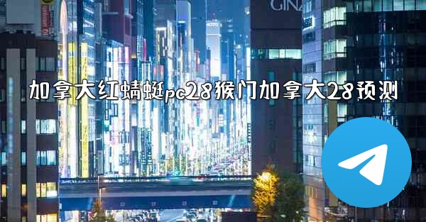 加拿大红蜻蜓pc28猴门加拿大28预测