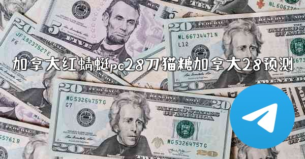 加拿大红蜻蜓pc28刀猫糖加拿大28预测