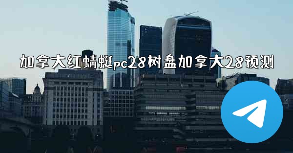 加拿大红蜻蜓pc28树盘加拿大28预测