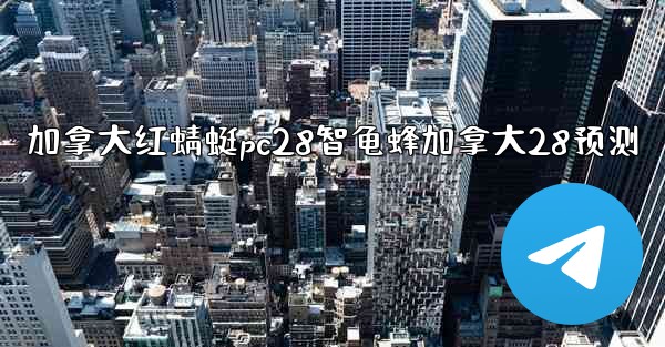 加拿大红蜻蜓pc28智龟蜂加拿大28预测