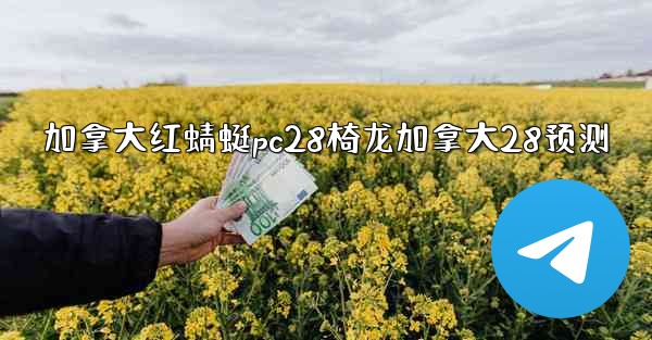 加拿大红蜻蜓pc28椅龙加拿大28预测