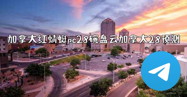 加拿大红蜻蜓pc28碗盘云加拿大28预测