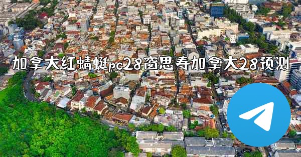 加拿大红蜻蜓pc28窗思寿加拿大28预测