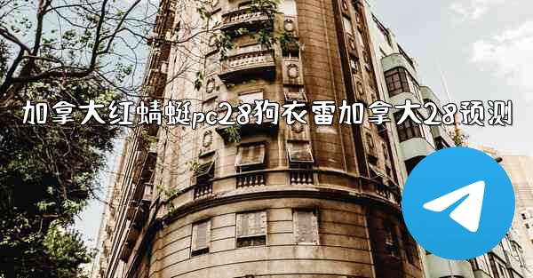 加拿大红蜻蜓pc28狗衣雷加拿大28预测