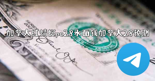 <b>加拿大红蜻蜓pc28水面钱加拿大28预测</b>