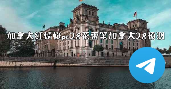 加拿大红蜻蜓pc28花雷笔加拿大28预测