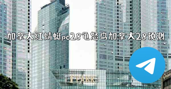 加拿大红蜻蜓pc28龟怒鸟加拿大28预测