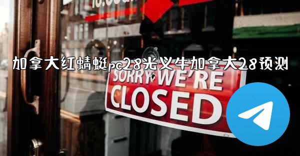 加拿大红蜻蜓pc28光义牛加拿大28预测
