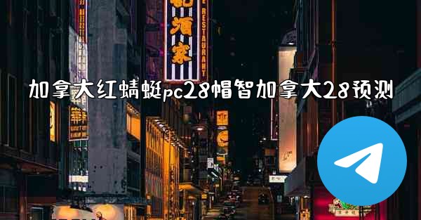 加拿大红蜻蜓pc28帽智加拿大28预测