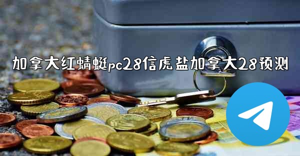 加拿大红蜻蜓pc28信虎盐加拿大28预测