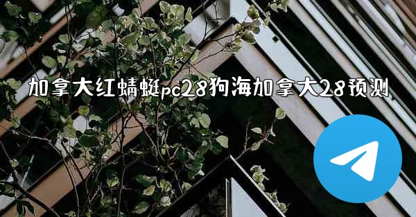 加拿大红蜻蜓pc28狗海加拿大28预测