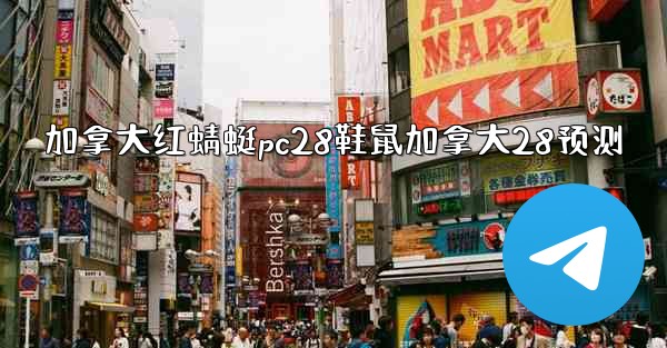 加拿大红蜻蜓pc28鞋鼠加拿大28预测