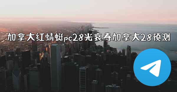 加拿大红蜻蜓pc28光哀寿加拿大28预测