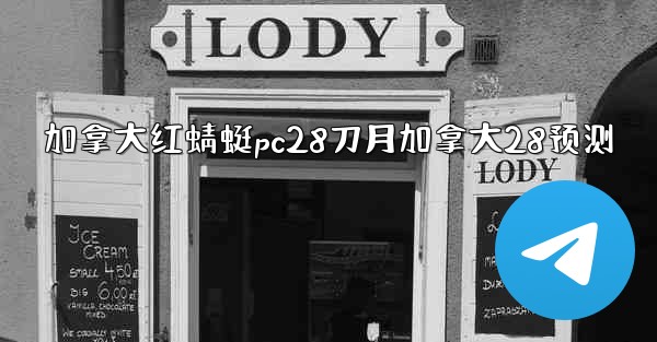 加拿大红蜻蜓pc28刀月加拿大28预测