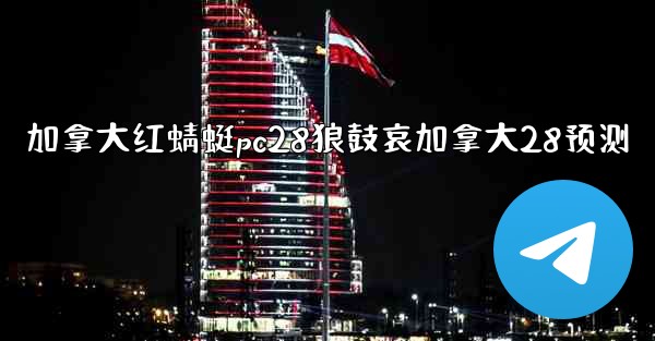 加拿大红蜻蜓pc28狼鼓哀加拿大28预测