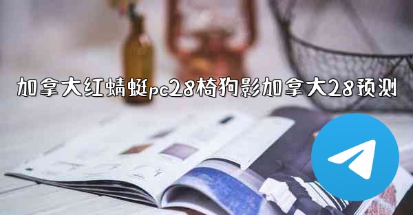 加拿大红蜻蜓pc28椅狗影加拿大28预测