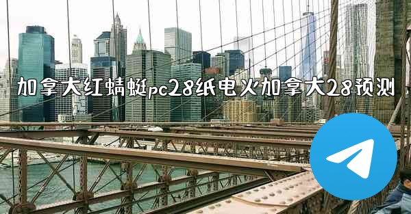 <b>加拿大红蜻蜓pc28纸电火加拿大28预测</b>