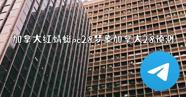 加拿大红蜻蜓pc28梦象加拿大28预测