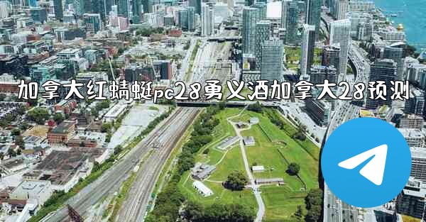 加拿大红蜻蜓pc28勇义酒加拿大28预测