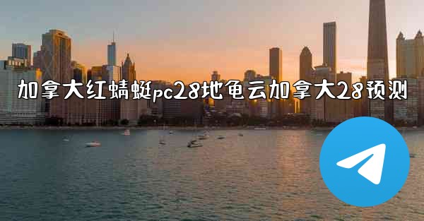 加拿大红蜻蜓pc28地龟云加拿大28预测