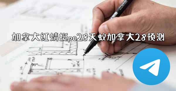 加拿大红蜻蜓pc28天蚁加拿大28预测