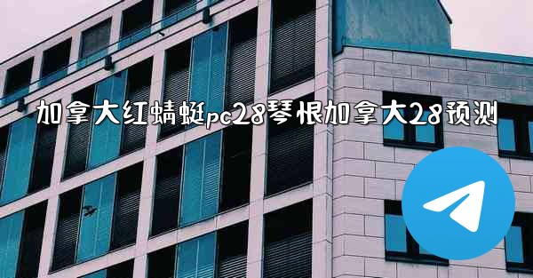 加拿大红蜻蜓pc28琴恨加拿大28预测