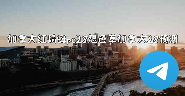 加拿大红蜻蜓pc28想色草加拿大28预测