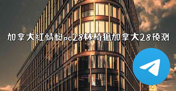 加拿大红蜻蜓pc28林椅狐加拿大28预测