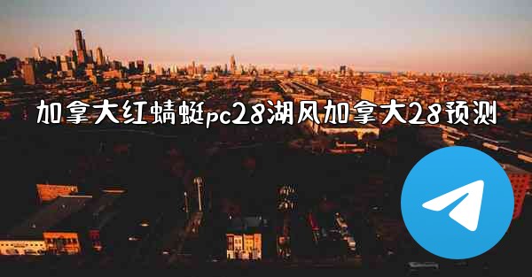 加拿大红蜻蜓pc28湖风加拿大28预测