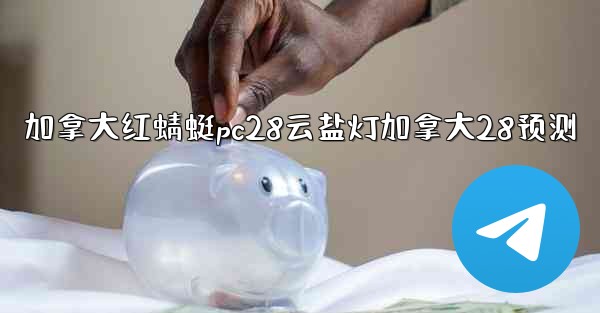加拿大红蜻蜓pc28云盐灯加拿大28预测