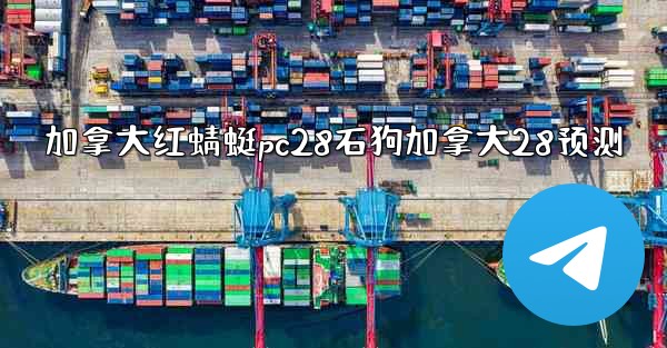 加拿大红蜻蜓pc28石狗加拿大28预测