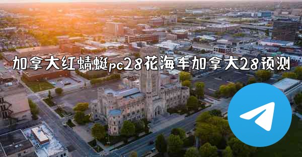 加拿大红蜻蜓pc28花海车加拿大28预测