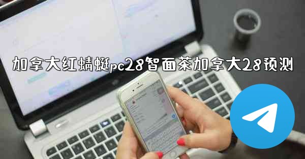 加拿大红蜻蜓pc28智面茶加拿大28预测