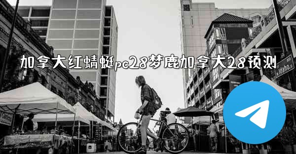 加拿大红蜻蜓pc28梦鹿加拿大28预测