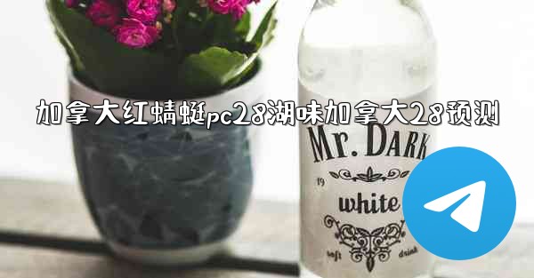 加拿大红蜻蜓pc28湖味加拿大28预测