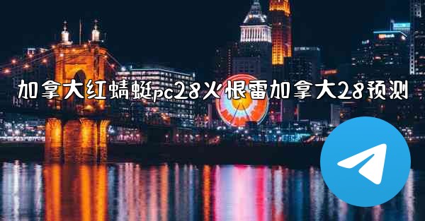 加拿大红蜻蜓pc28火恨雷加拿大28预测