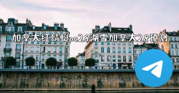 加拿大红蜻蜓pc28湖雪加拿大28预测