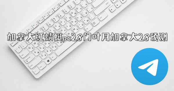 加拿大红蜻蜓pc28门叶月加拿大28预测