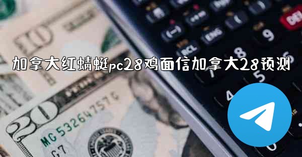 加拿大红蜻蜓pc28鸡面信加拿大28预测