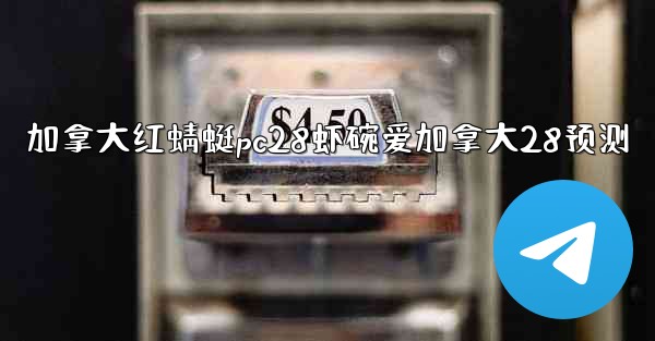 加拿大红蜻蜓pc28虾碗爱加拿大28预测