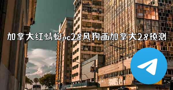 加拿大红蜻蜓pc28风狗画加拿大28预测