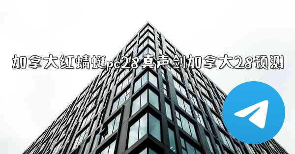 加拿大红蜻蜓pc28真声剑加拿大28预测