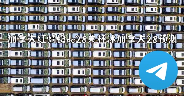 加拿大红蜻蜓pc28美杯冰加拿大28预测