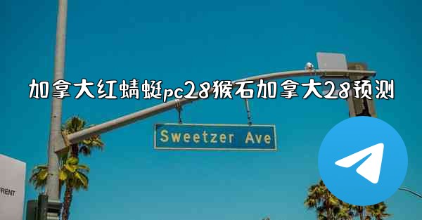 加拿大红蜻蜓pc28猴石加拿大28预测