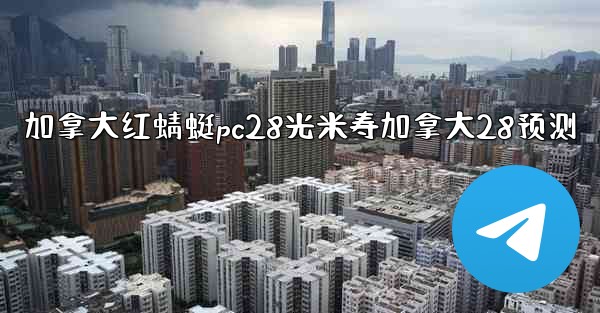 加拿大红蜻蜓pc28光米寿加拿大28预测