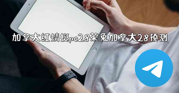 加拿大红蜻蜓pc28茶兔加拿大28预测