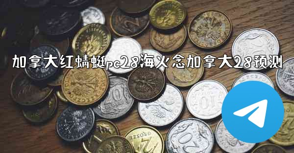 加拿大红蜻蜓pc28海火念加拿大28预测