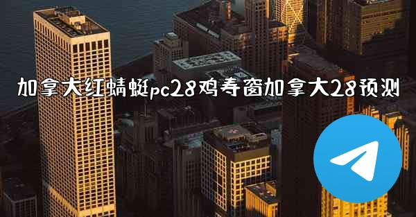 加拿大红蜻蜓pc28鸡寿窗加拿大28预测