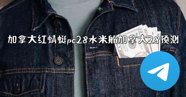 加拿大红蜻蜓pc28水米船加拿大28预测